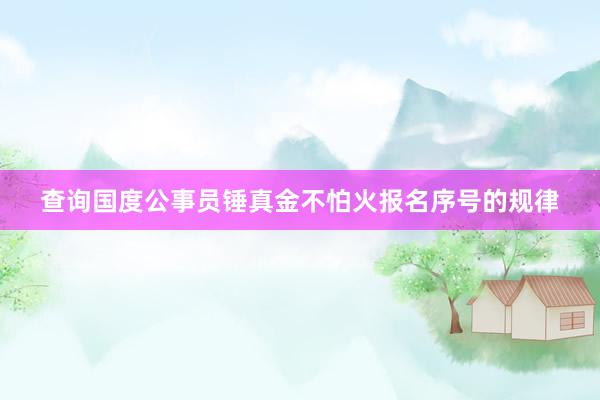 查询国度公事员锤真金不怕火报名序号的规律