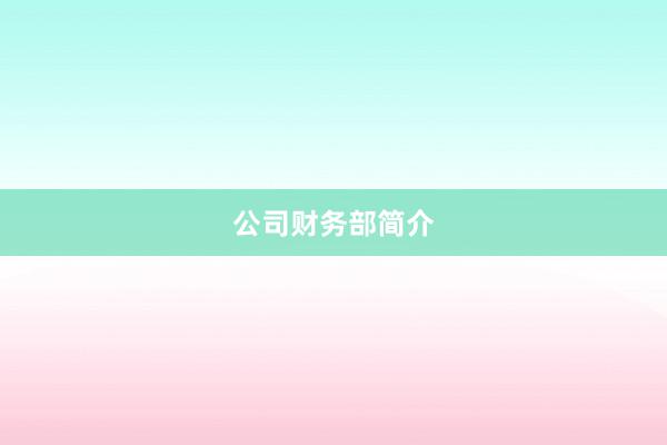 公司财务部简介