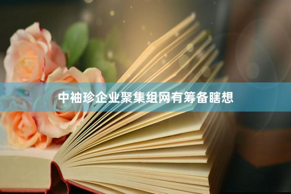 中袖珍企业聚集组网有筹备瞎想